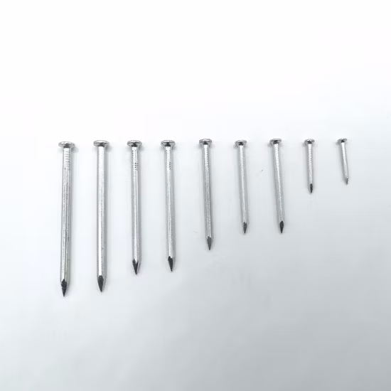 Железо/сталь/цемент/обычный/круглая головка/крючок/кровельный/рулон/стрельба/гвозди